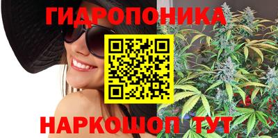 прущие крисы Донской