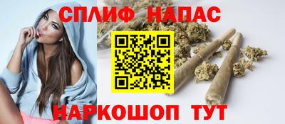 гидра Дубна