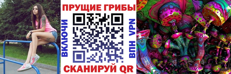 площадка формула  Казань  Галлюциногенные грибы мухоморы 