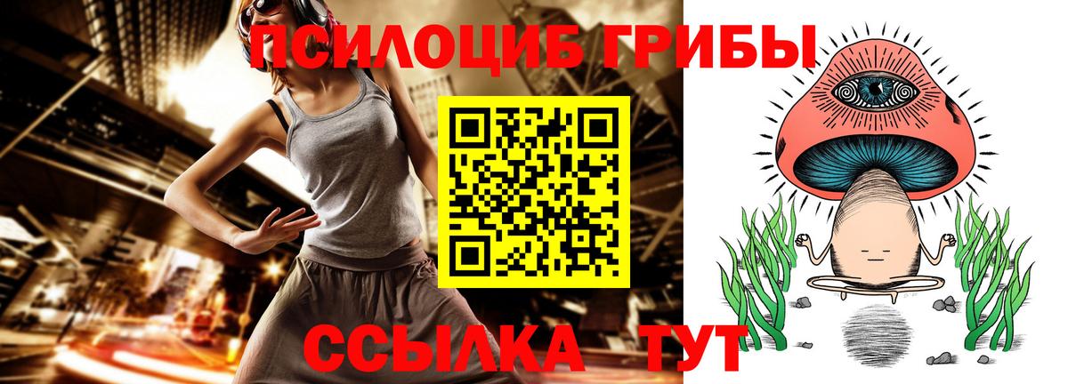Галлюциногенные грибы мицелий Казань