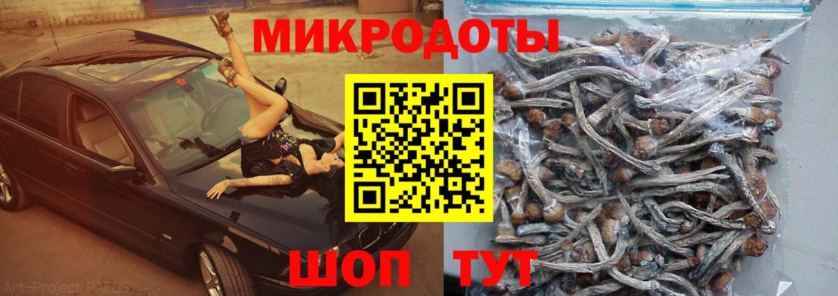 Псилоцибиновые грибы GOLDEN TEACHER Казань