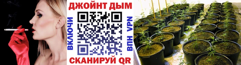Шишки марихуана Ganja  Казань 